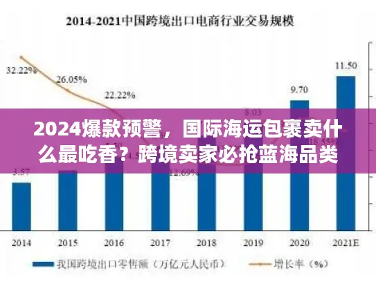 2024爆款预警，国际海运包裹卖什么最吃香？跨境卖家必抢蓝海品类清单