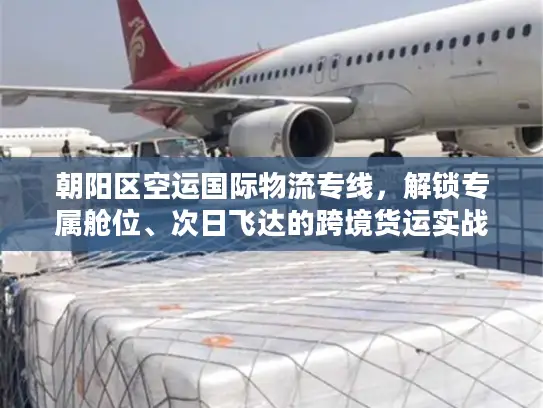 朝阳区空运国际物流专线，解锁专属舱位、次日飞达的跨境货运实战秘籍