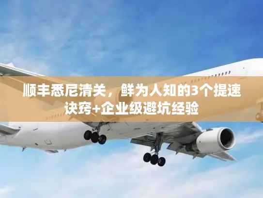 顺丰悉尼清关，鲜为人知的3个提速诀窍+企业级避坑经验