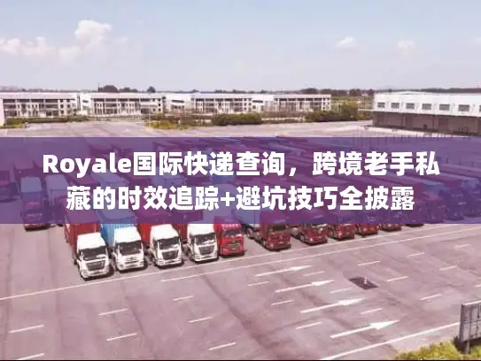 Royale国际快递查询,跨境老手私藏的时效追踪+避坑技巧全披露 Royale国际快递查询,跨境老手私藏的时效追踪+避坑技巧全披露