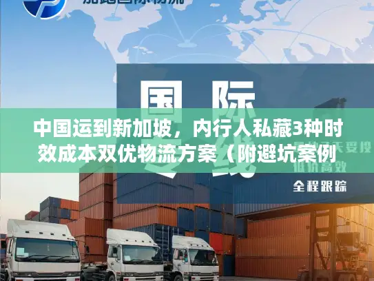 中国运到新加坡，内行人私藏3种时效成本双优物流方案（附避坑案例）