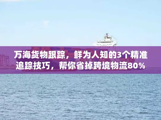 万海货物跟踪，鲜为人知的3个精准追踪技巧，帮你省掉跨境物流80%麻烦