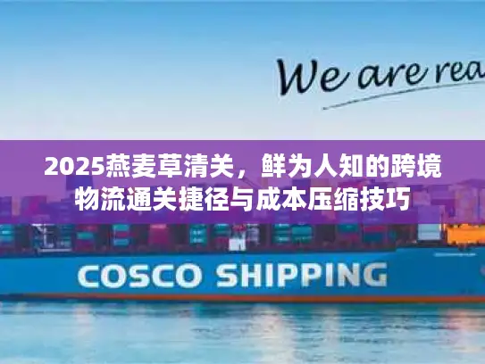 2025燕麦草清关，鲜为人知的跨境物流通关捷径与成本压缩技巧