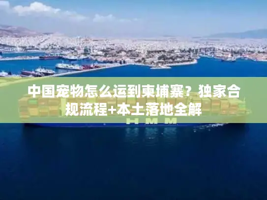 中国宠物怎么运到柬埔寨？独家合规流程+本土落地全解