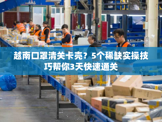 越南口罩清关卡壳？5个稀缺实操技巧帮你3天快速通关