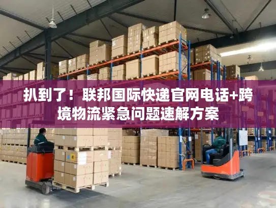 扒到了！联邦国际快递官网电话+跨境物流紧急问题速解方案