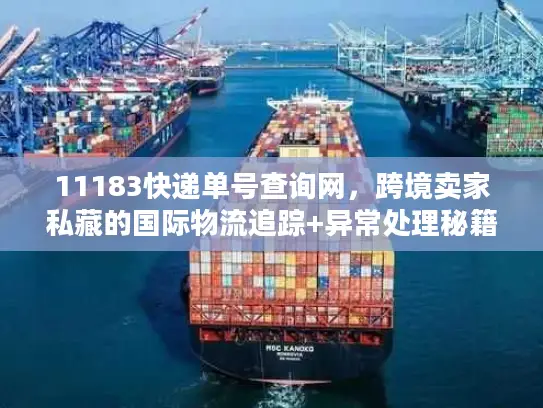 11183快递单号查询网，跨境卖家私藏的国际物流追踪+异常处理秘籍