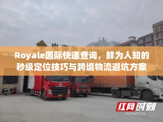 Royale国际快递查询，鲜为人知的秒级定位技巧与跨境物流避坑方案