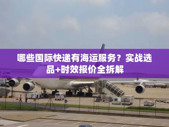 哪些国际快递有海运服务？实战选品+时效报价全拆解