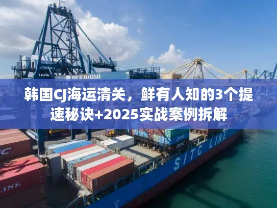 韩国CJ海运清关，鲜有人知的3个提速秘诀+2025实战案例拆解
