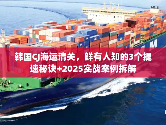 韩国CJ海运清关，鲜有人知的3个提速秘诀+2025实战案例拆解