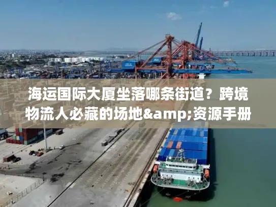 海运国际大厦坐落哪条街道？跨境物流人必藏的场地&资源手册