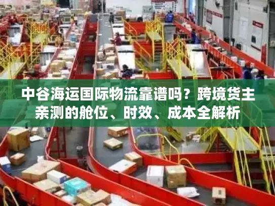 中谷海运国际物流靠谱吗？跨境货主亲测的舱位、时效、成本全解析