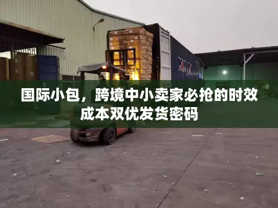 国际小包，跨境中小卖家必抢的时效成本双优发货密码