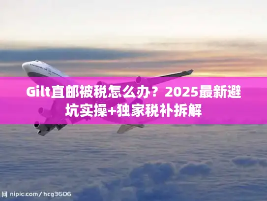 Gilt直邮被税怎么办？2025最新避坑实操+独家税补拆解