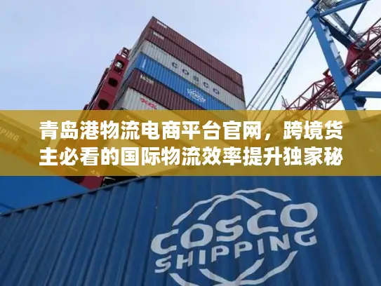 青岛港物流电商平台官网，跨境货主必看的国际物流效率提升独家秘籍