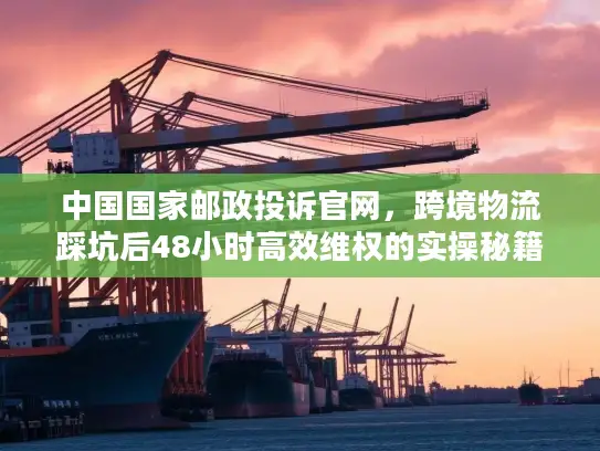 中国国家邮政投诉官网，跨境物流踩坑后48小时高效维权的实操秘籍