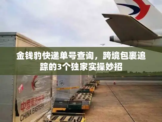 金钱豹快递单号查询，跨境包裹追踪的3个独家实操妙招