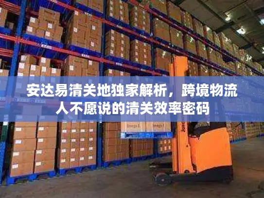安达易清关地独家解析，跨境物流人不愿说的清关效率密码
