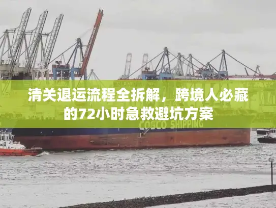 清关退运流程全拆解，跨境人必藏的72小时急救避坑方案