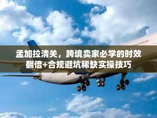 孟加拉清关，跨境卖家必学的时效翻倍+合规避坑稀缺实操技巧