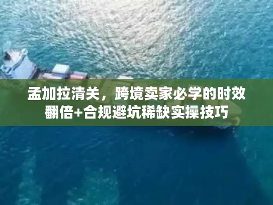 孟加拉清关，跨境卖家必学的时效翻倍+合规避坑稀缺实操技巧