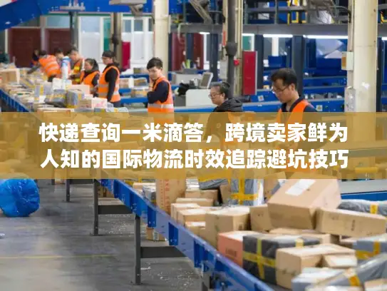 快递查询一米滴答，跨境卖家鲜为人知的国际物流时效追踪避坑技巧