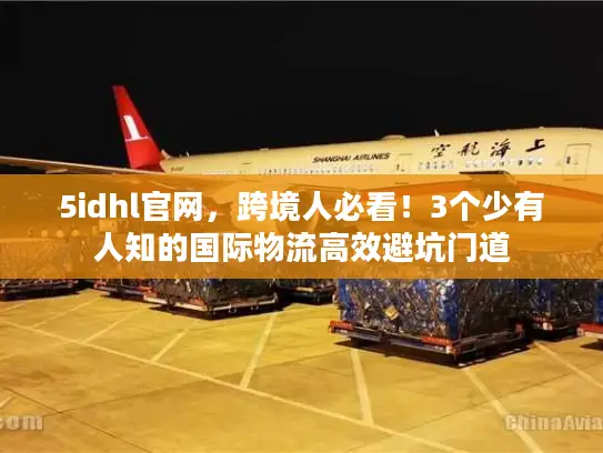 5idhl官网，跨境人必看！3个少有人知的国际物流高效避坑门道