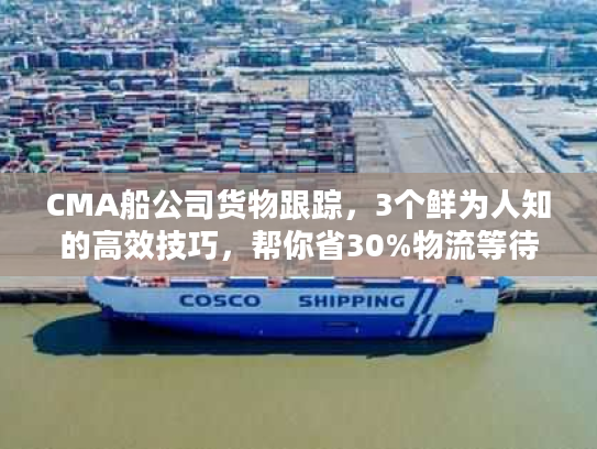 CMA船公司货物跟踪，3个鲜为人知的高效技巧，帮你省30%物流等待时间