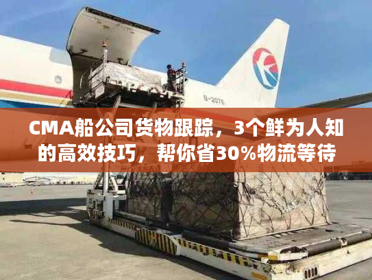 CMA船公司货物跟踪，3个鲜为人知的高效技巧，帮你省30%物流等待时间