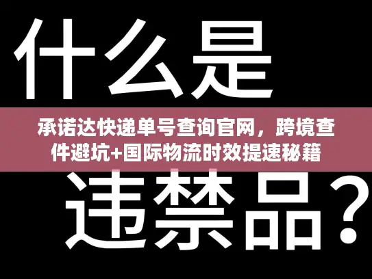 承诺达快递单号查询官网，跨境查件避坑+国际物流时效提速秘籍