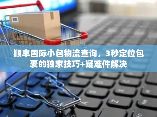顺丰国际小包物流查询，3秒定位包裹的独家技巧+疑难件解决