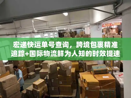 宏递快运单号查询，跨境包裹精准追踪+国际物流鲜为人知的时效提速法