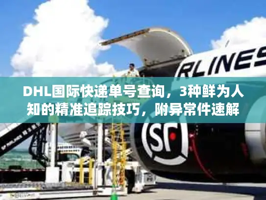 DHL国际快递单号查询，3种鲜为人知的精准追踪技巧，附异常件速解方案