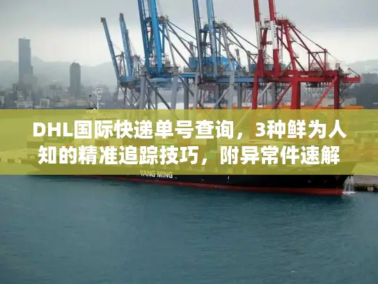 DHL国际快递单号查询，3种鲜为人知的精准追踪技巧，附异常件速解方案