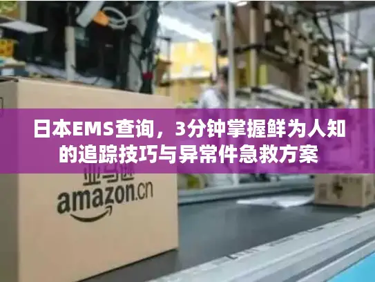 日本EMS查询，3分钟掌握鲜为人知的追踪技巧与异常件急救方案
