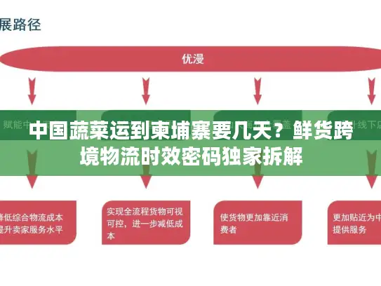 中国蔬菜运到柬埔寨要几天？鲜货跨境物流时效密码独家拆解