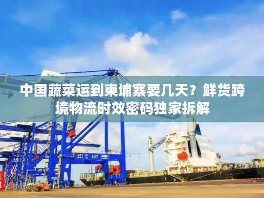 中国蔬菜运到柬埔寨要几天？鲜货跨境物流时效密码独家拆解