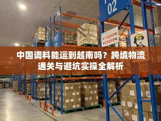 中国调料能运到越南吗？跨境物流通关与避坑实操全解析