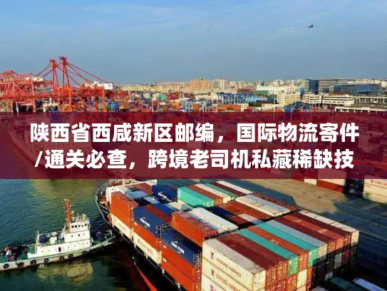 陕西省西咸新区邮编，国际物流寄件/通关必查，跨境老司机私藏稀缺技巧