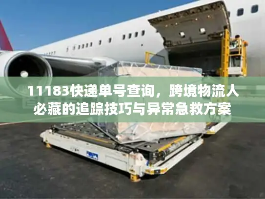 11183快递单号查询，跨境物流人必藏的追踪技巧与异常急救方案