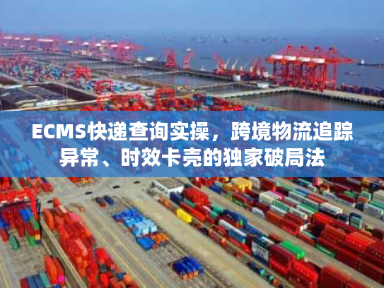 ECMS快递查询实操，跨境物流追踪异常、时效卡壳的独家破局法