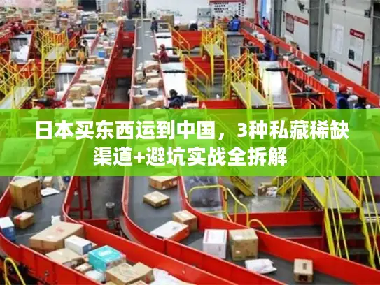 日本买东西运到中国，3种私藏稀缺渠道+避坑实战全拆解