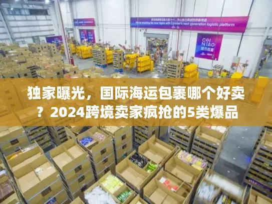 独家曝光，国际海运包裹哪个好卖？2024跨境卖家疯抢的5类爆品