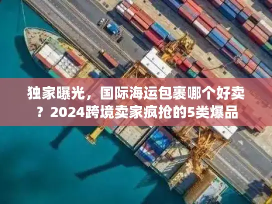 独家曝光，国际海运包裹哪个好卖？2024跨境卖家疯抢的5类爆品