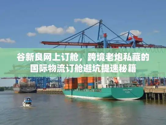 谷新良网上订舱，跨境老炮私藏的国际物流订舱避坑提速秘籍