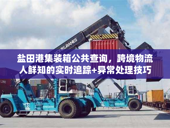 盐田港集装箱公共查询，跨境物流人鲜知的实时追踪+异常处理技巧