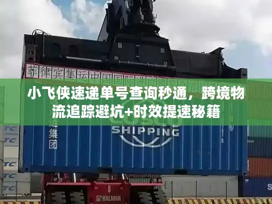 小飞侠速递单号查询秒通，跨境物流追踪避坑+时效提速秘籍