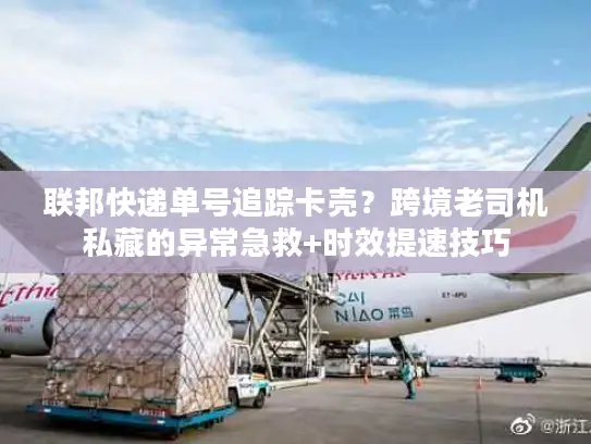 联邦快递单号追踪卡壳？跨境老司机私藏的异常急救+时效提速技巧