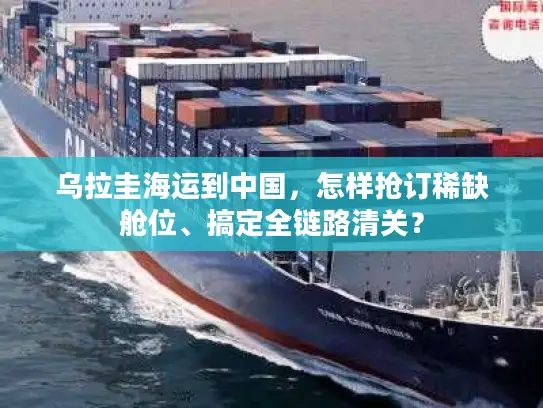 乌拉圭海运到中国，怎样抢订稀缺舱位、搞定全链路清关？